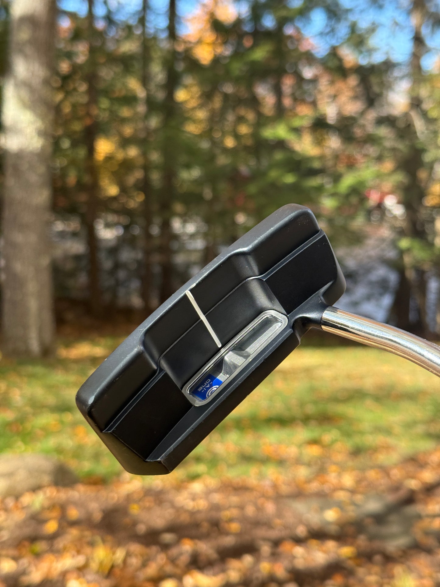 Odyssey Ai-One Double Wide DB 33in Putter