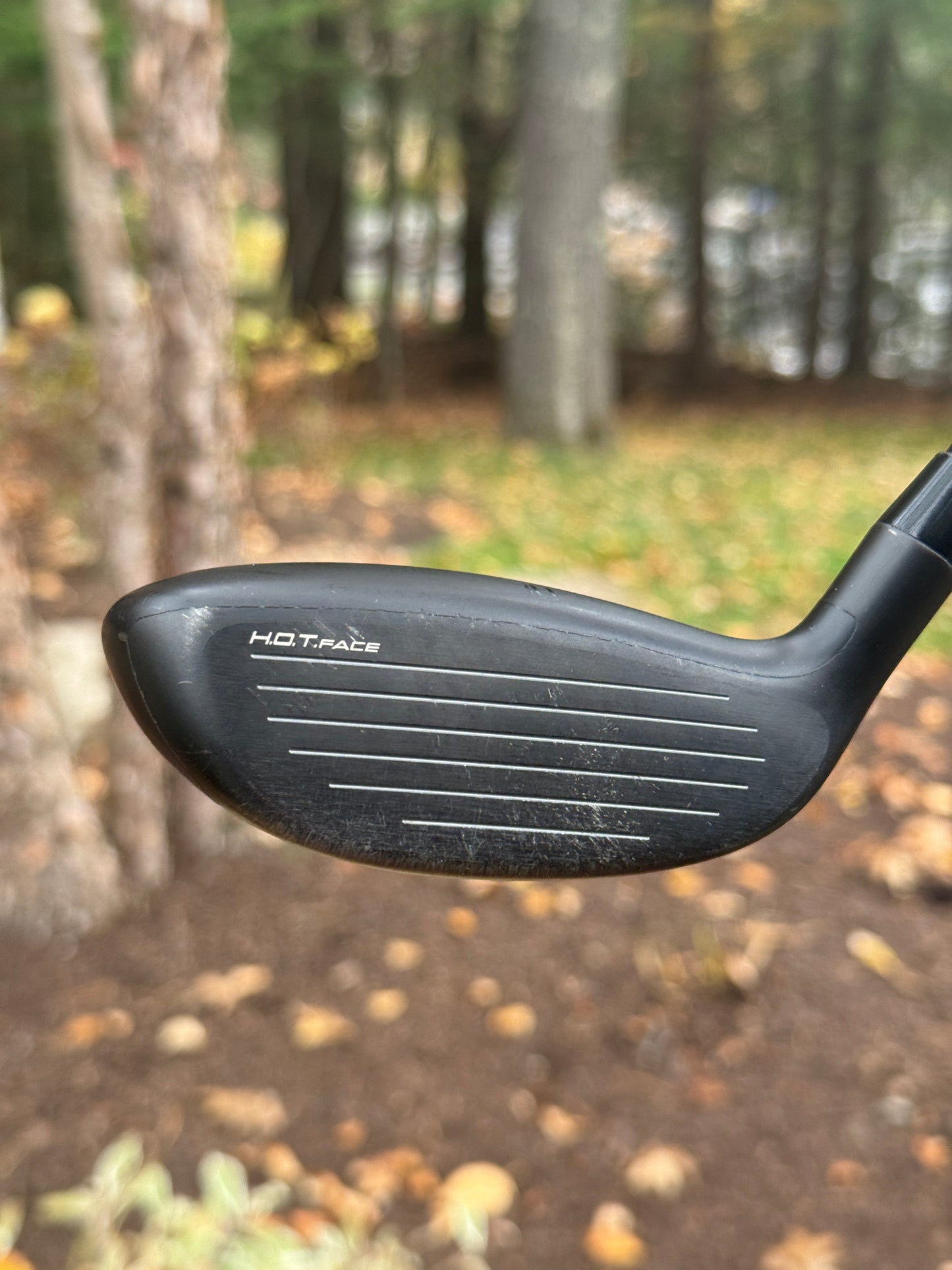 Cobra Darkspeed 21° 4 Hybrid w/Stiff Flex KBS PGI 85g