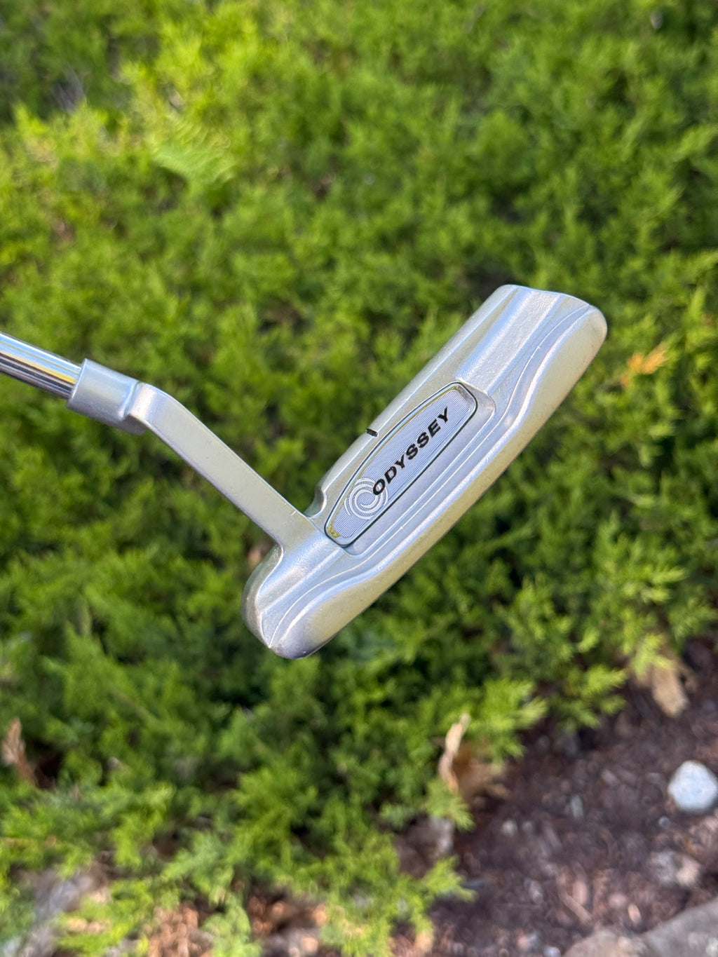 Odyssey Divine Blade 32" Ladies Putter